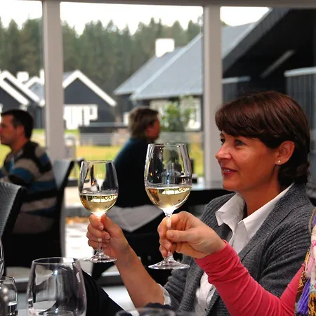 Hotell Dayz Sohojlandet Golf Gjern